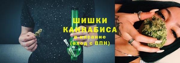 ALPHA PVP Няндома