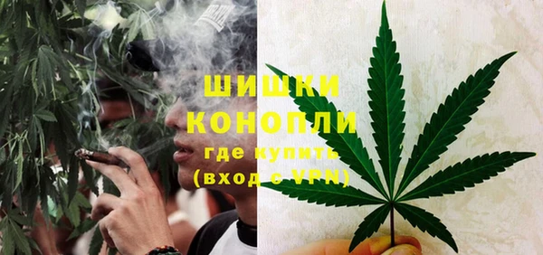 мдма Новозыбков