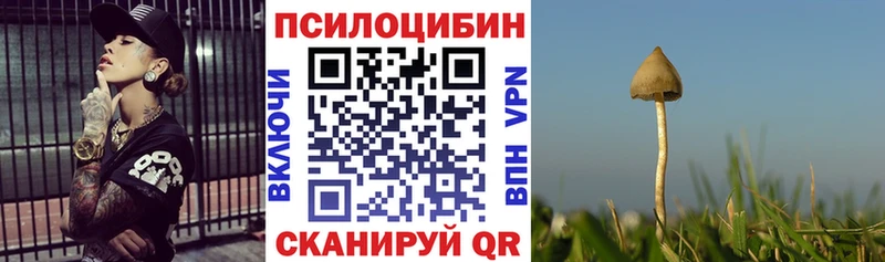 Псилоцибиновые грибы GOLDEN TEACHER  цены наркотик  Воронеж 