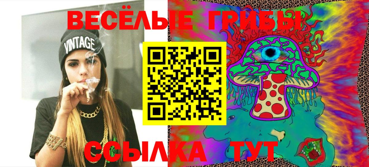 Псилоцибиновые грибы GOLDEN TEACHER Воронеж