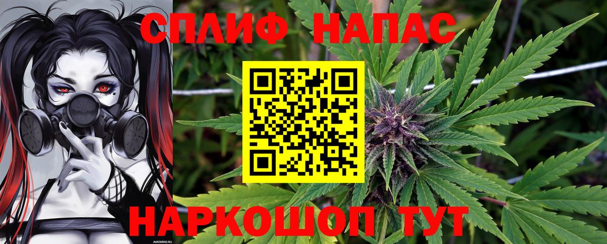 Бошки марихуана индика Воронеж